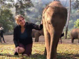 Elephant Sanctuary Chiang Mai 2