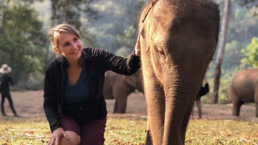 Elephant Sanctuary Chiang Mai 2