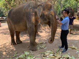 Elephant Sanctuary Chiang Mai 3