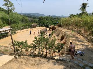 Elephant Sanctuary Chiang Mai 4