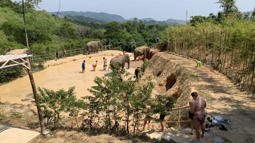 Elephant Sanctuary Chiang Mai 4