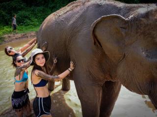 Elephant Sanctuary Chiang Mai 5
