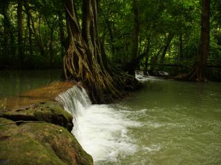 Hot Springs