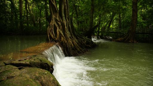 Hot Springs