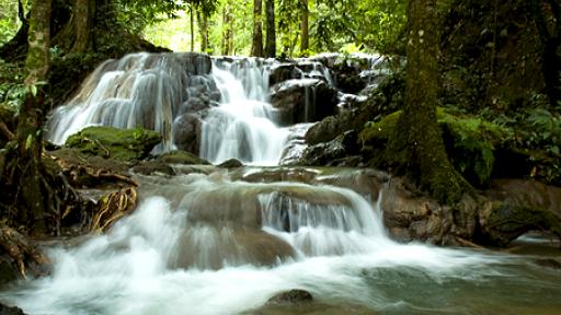 Hot Springs