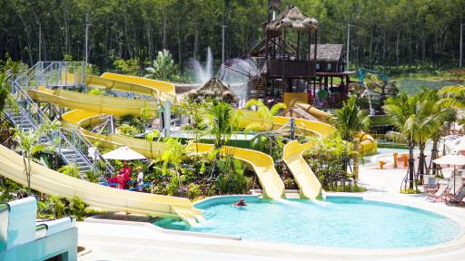 Blue Tree - Family Splash Zone