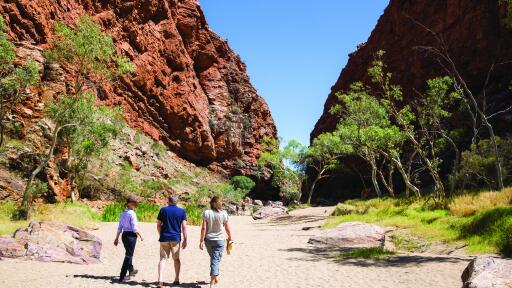 The Ghan - Simpsons Gap West MacDonnell Ranges