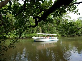 Daintree River