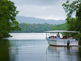 Daintree River Cruise