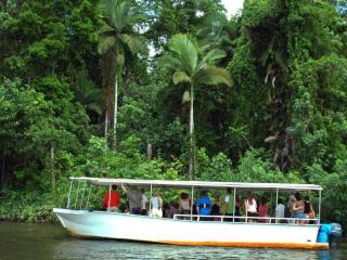 Daintree River