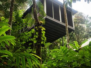 Canopy Banyan Exterior