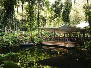 Daintree Ecolodge