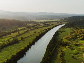 Daintree River