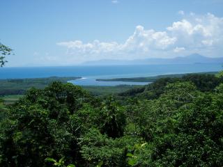 Daintree & Cape Tribulation