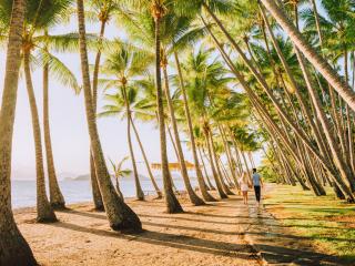 Palm Cove