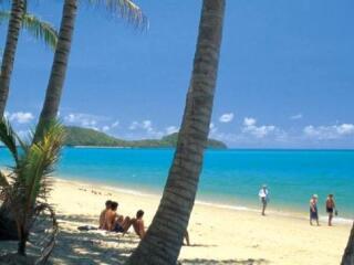 Palm Cove