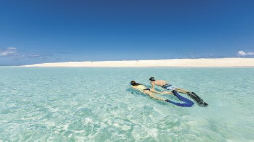 Michaelmas Cay - North QLD - Snorkelling
