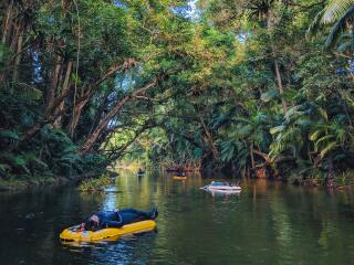 Mossman River - Drifting under the canopy