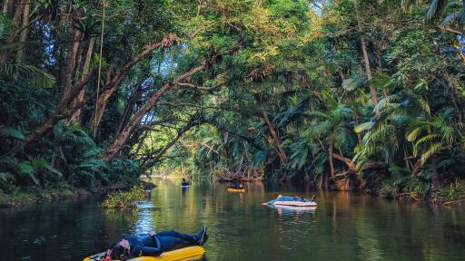 Mossman River - Drifting under the canopy