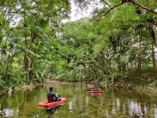 Mossman River - Floating in rainforest