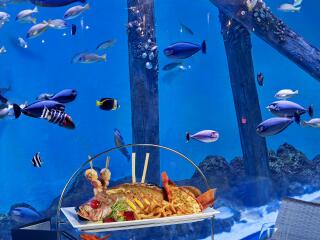 Aquarium Seafood Tower