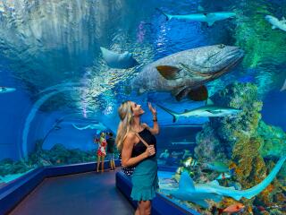 Cairns Aquarium Tunnel