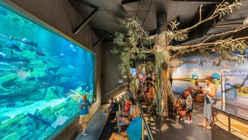 River Monsters Presentation