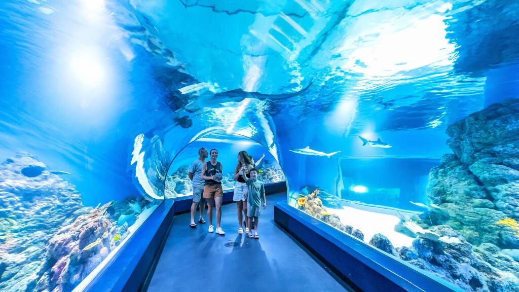 Viewing Tunnel