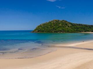 Cape Tribulation