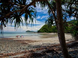 Cape Tribulation Beach
