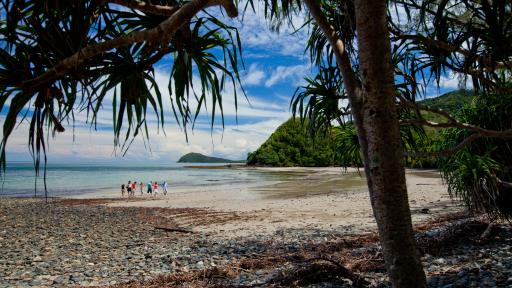 Cape Tribulation Beach