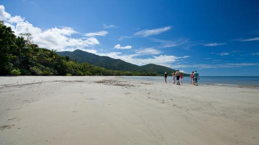 Cape Tribulation Beach