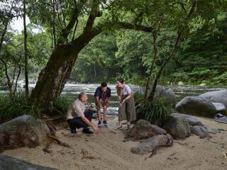 Mossman Gorge