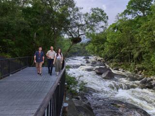 Mossman Gorge