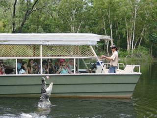 Crocodile boat tour