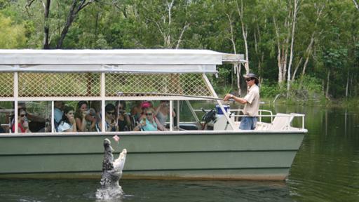Crocodile boat tour