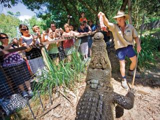 Crocodile Show