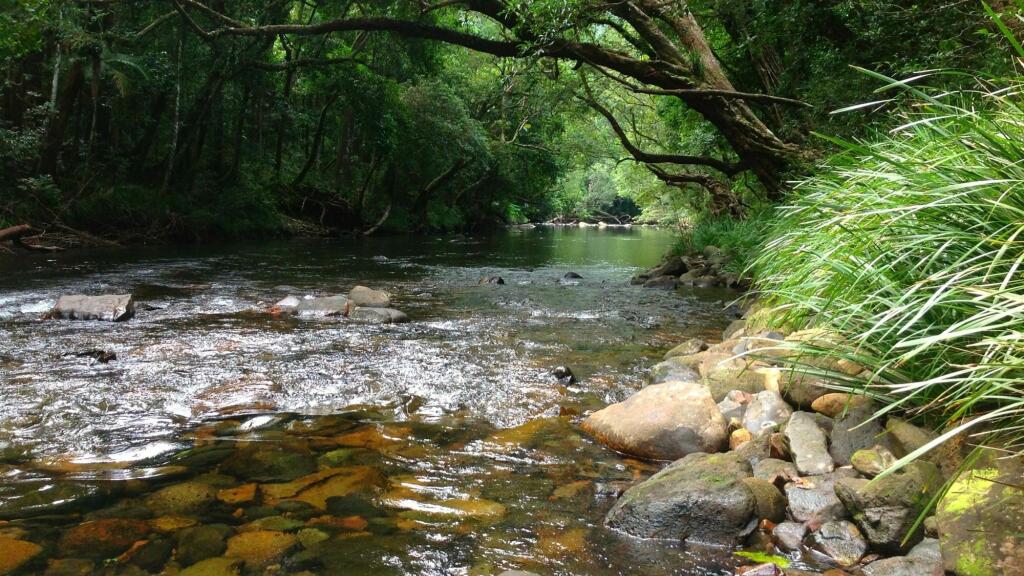 Daintree Cape Tribulation Tour