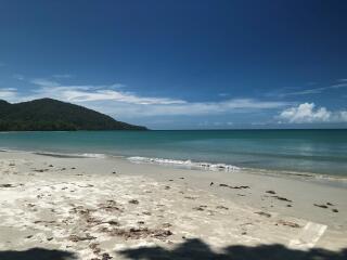 Daintree Cape Tribulation Tour