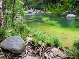 Daintree Cape Tribulation Tour