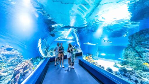 Cairns Aquarium