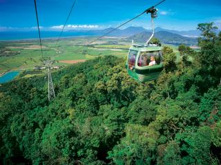 Skyrail Rainforest Cableway Experience
