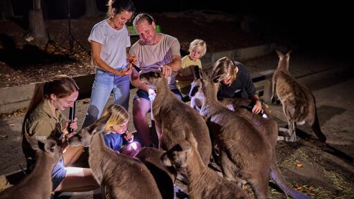 Wildlife Habitat Port Douglas