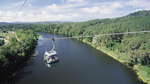 Skyrail Cableway over Barron River