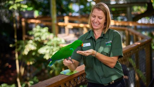 Wildlife Habitat Port Douglas