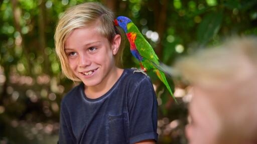 Wildlife Habitat Port Douglas