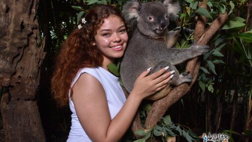 Wildlife Habitat Port Douglas