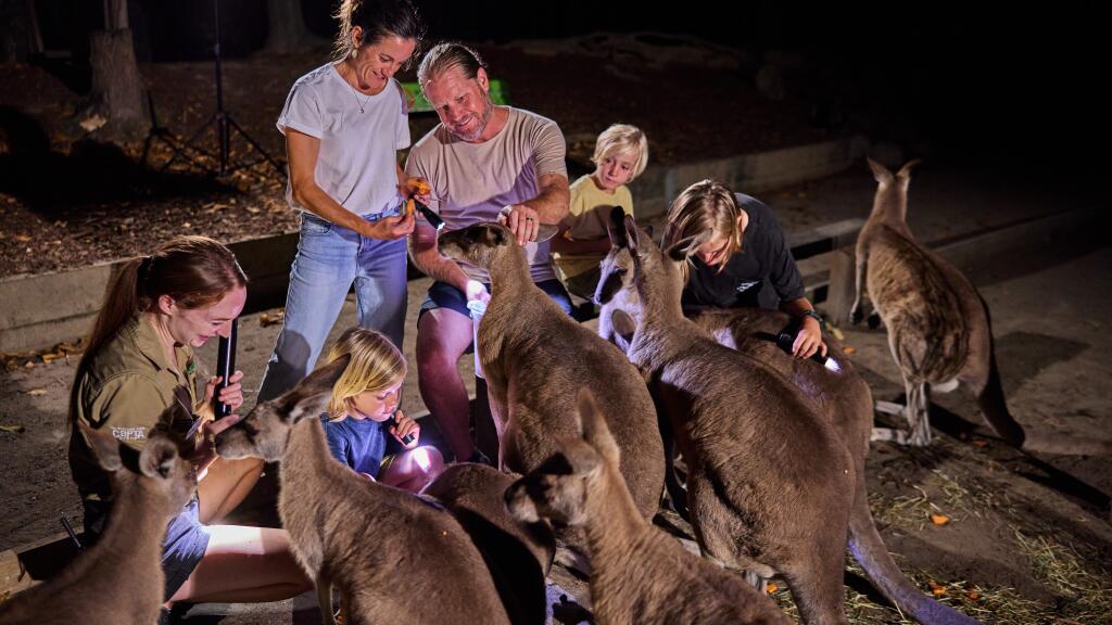 Wildlife Habitat Port Douglas