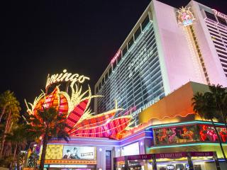 Las Vegas - The Flamingo Hotel and Casino