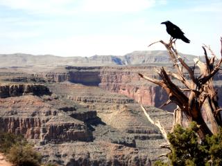 popular las vegas attractions